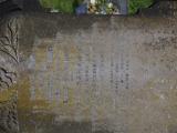 image of grave number 911136